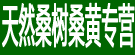 天然桑树桑黄专营