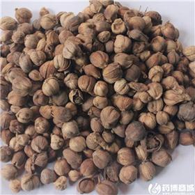 白蔻
