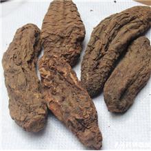 肉苁蓉 大芸 木质 ..