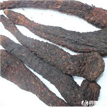肉苁蓉 大芸 肉质 ..