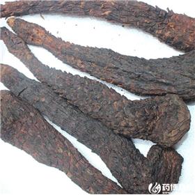 肉苁蓉 大芸 肉质 个 选货