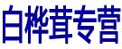 白桦茸专营