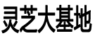 灵芝大基地