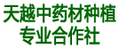 天越中药材种植专业合作社