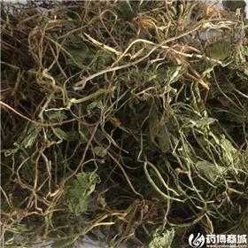 积雪草 四川 个子 统货 