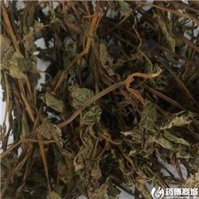 鱼腥草 四川 个子 统货 