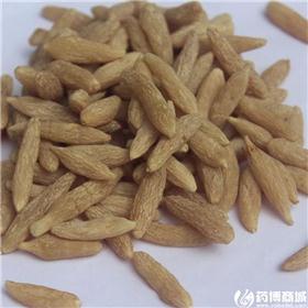 麦冬精品 四川