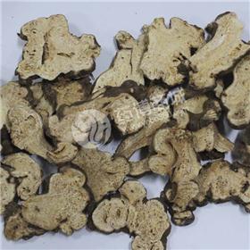 白术 统片