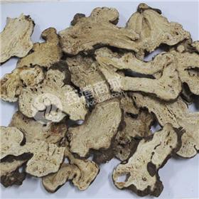 白术 中心片