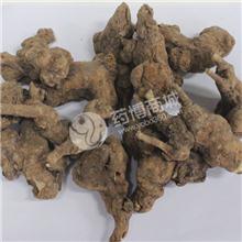 白术 统个
