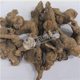 白术 统个