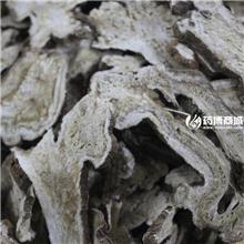 白术 白术统