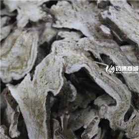 白术 白术统