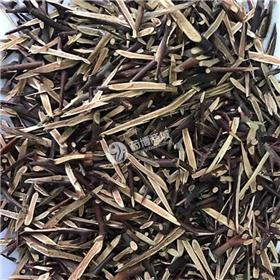 皂角刺 小统