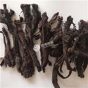 紫草软质，软紫草