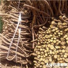 甘草 大货供应
