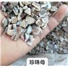 珍珠母