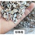 珍珠母