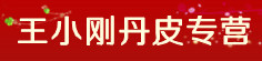 王小刚丹皮专营