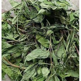 薄荷叶
