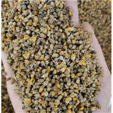 野菊花颗粒货颗料货