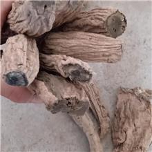 玄参选片