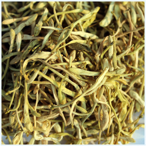 金银花 价格面议 （河南 统货）