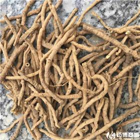 远志 山西大货 各种规格
