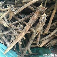 黄芩 个
