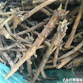 黄芩 个