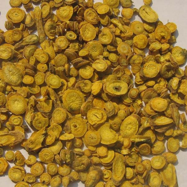 黄芩 山西大货