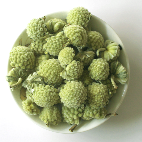 绿萝花 行气活血 抗菌消炎 