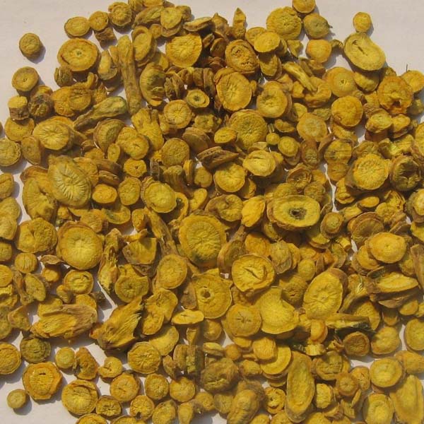 黄芩 大货